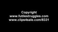 FutileStruggles A Tight Box Hogtie For Ariel-Part 2 XXX 720p MP4-hUSHhUSH[N1C]