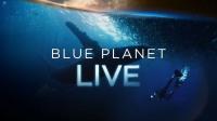 BBC Blue Planet Live 2019 2of4 720p HDTV x264 AAC