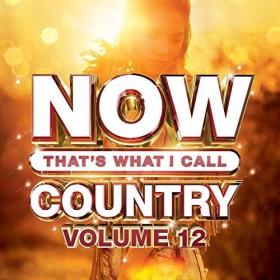 VA - Now Thats What I Call Country Vol 12 (2019) Mp3 320kbps Album [PMEDIA]
