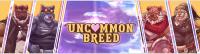 Uncommon Breed
