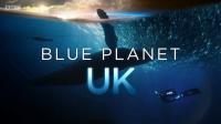 BBC Blue Planet UK 2019 1of5 720p HDTV x264 AAC