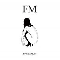 Fixmer McCarthy - Into The Night - 2008
