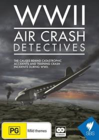 WW II Air Crash Detectives 2014 DivX IPTVRip alf62