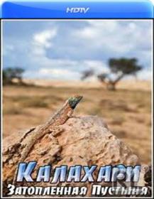 Kalahari 2 The Flooded Desert 2003 x264 HDTVRip (AVC) by HD-NET