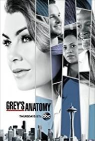 Greys.Anatomy.S15E22.720p.WEB.x264-worldmkv