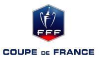 Coupe de France - Angers vs PSG 27 05 17