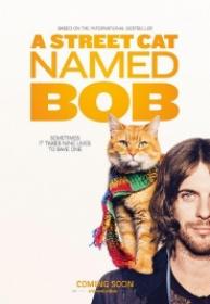 Un Gato Callejero Llamado Bob [BluRay Rip][AC3 5.1 Español Castellano][2017]