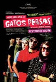 Nadie Sabe Nada De Gatos Persas [DVDRIP][Spanish AC3 5.1][2011]