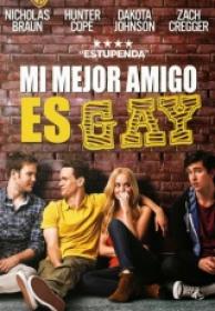 Mi Mejor Amigo Es Gay [BluRayRIP][AC3 5.1 Español Castellano][2016]