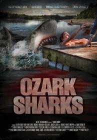 Summer Shark Attack [HDTV][Español Castellano][2016]