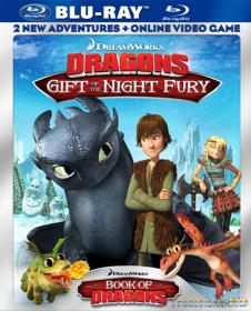 Dragon Gift of the Night Fury BDRip1080
