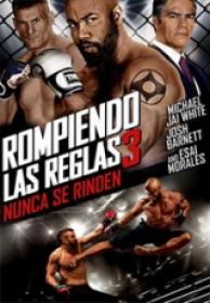 Rompiendo Las Reglas 3 Sin Rendicion [BluRay Rip][AC3 5.1 Español Castellano][2016]