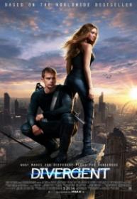 Divergente [BluRay Rip][AC3 5.1 Castellano][2014]