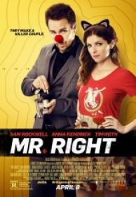 Mr Right [BluRay Rip][AC3 2.0 Español Castellano][2016]