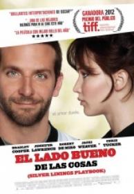 El Lado Bueno de las Cosas [DVDRIP][Español Latino][2013]