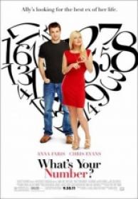 Whats Your Number (Dime Con Cuantos) [UNRATED][DVDRIP][VOSE English AC3 5.1_Spanish Sub ][2011]