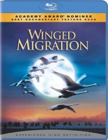 Птицы Winged Migration