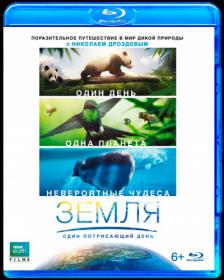 Earth One Amazing Day 2017 1080p RUS TR BDRemux IVA(RUS) ExKinoRay