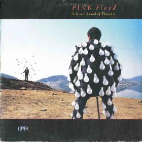 Pink Floyd - Delicate Sound Of Thunder (1988) DE LP