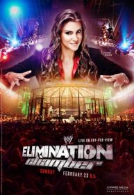 WWE Elimination Chamber 2014 (545TV)