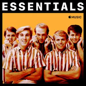The Beach Boys - Essentials (2019)