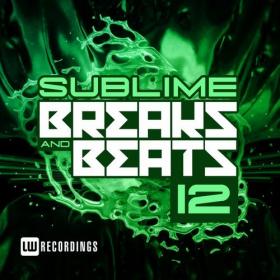 VA-Sublime_Breaks_And_Beats_Vol_12