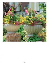 Container Gardening for All Seasons - Enjoy Year-Round Color with 101 Designs