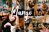 DesignOptimal - Neo Mango Theme Desktop Lightroom Presets - 257186