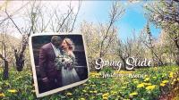 DesignOptimal - Spring Wedding Slide 230625 - After Effects Templates