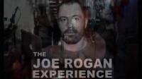 Joe Rogan Podcast Episode 290 - John McAfee