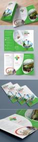 DesignOptimal - Green Trifold Brochure Layout with Abstract Spots