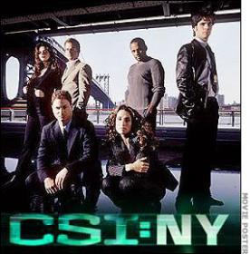 CSI New York S07E10 HDTV XviD-LOL