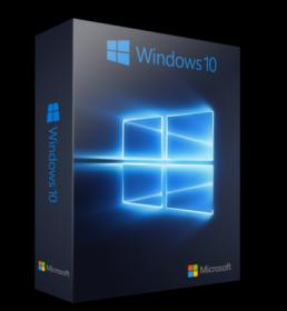 Microsoft.Windows.10.Home-Pro.v1903.AIO.4.in.1.Multilingue.Maggio.2019-[WEB]