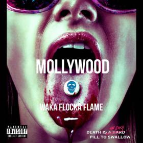 Waka Flocka Flame - Mollywood (2019) Mp3 (320 kbps) [Hunter]