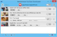 MediaHuman YouTube Downloader 3.9.9.17 (0906)