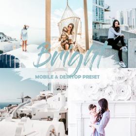 DesignOptimal - Bright Mobile Lightroom Preset - 23730233