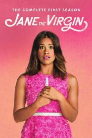 Jane.The.Virgin.S01.FRENCH.HDTV.XviD-SPADE