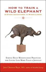 How to Train a Wild Elephant- And Other Adventures in Mindfulness