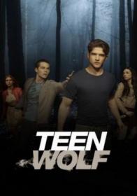 Teen.Wolf.S02.FRENCH.LD.HDTV.XViD-MiND
