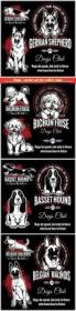 DesignOptimal - Dogs - vector set for t-shirt, logo and template badges