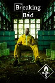 Breaking.Bad.S05.FRENCH.BDRiP.XviD-MiND-ZT