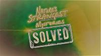 Natures Strangest Mysteries Solved Series 1 Part 16 Scorpion Night Lights 720p HDTV x264 AAC