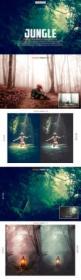 DesignOptimal - Premium Jungle Lightroom Preset Collection 3601461