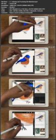 SkillShare - Illustrating Texturey Birds in Procreate