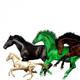 Lil Nas X & Jocelyn _Jo_zzy_ Donald - Old Town Road Remix ft  Billy Ray Cyrus, Young Thug & Mason Ramsey [2019-Single]