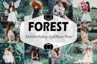 DesignOptimal - Forest Mobile & Desktop Lightroom Presets, Dark Green LR - 289084