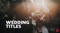 DesignOptimal - Videohive 50 Wedding Titles - After Effects Templates