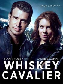 Whiskey.Cavalier.S01E13.FiNAL.FRENCH.HDTV.XviD-EXTREME