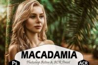 DesignOptimal - Macadamia Photoshop Actions And ACR Presets, Brown Ps action - 289082