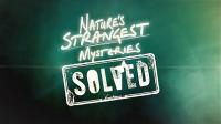 Natures Strangest Mysteries Solved Series 1 Part 23 Giggling Rats 720p HDTV x264 AAC